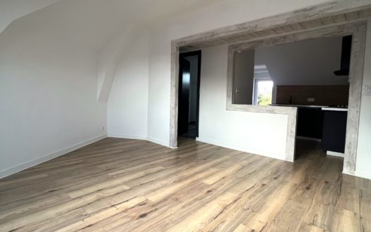 Appartement 3 pièces 50 m²