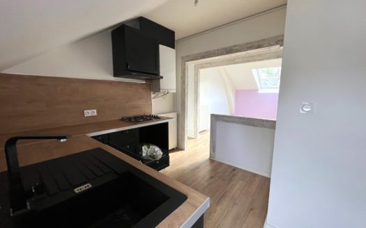 Appartement 3 pièces 50 m²